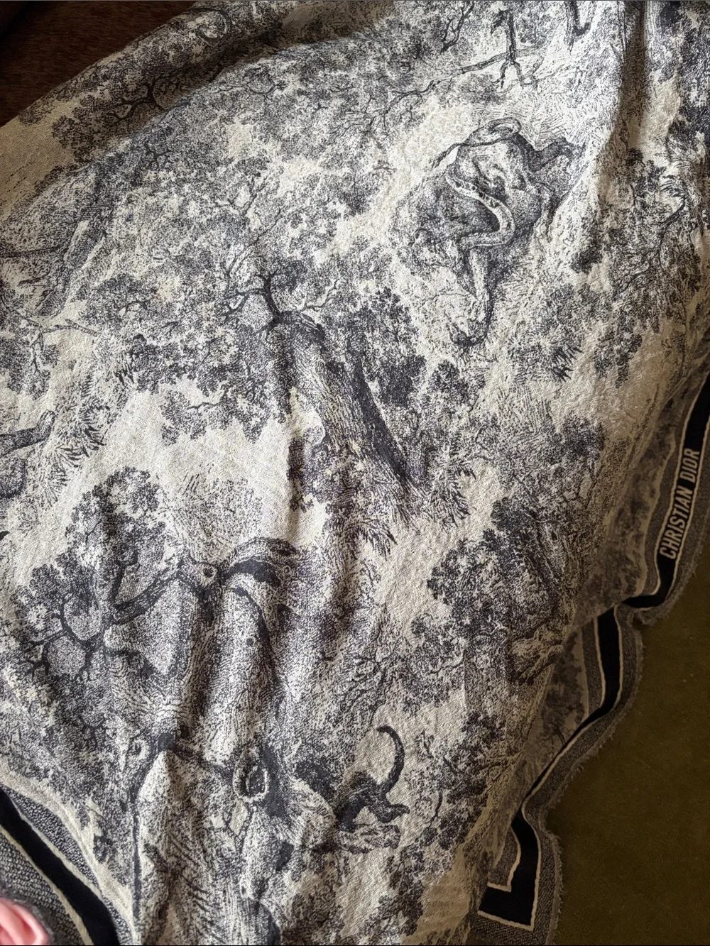 Dior Wool Scarf - Blue/White Accent